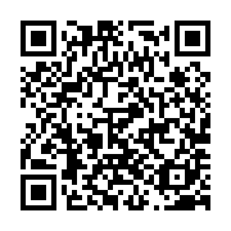 QR code for plate D1L 181
