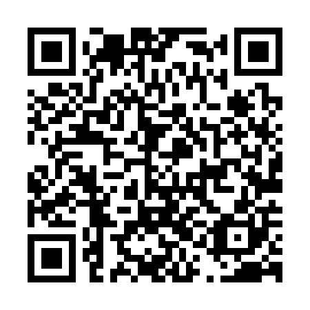 QR code for D1L300