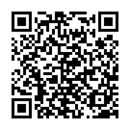 QR code for D1L541