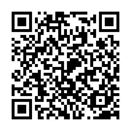 QR code for plate D1M 380