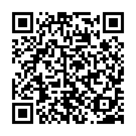 QR code for D1N 199