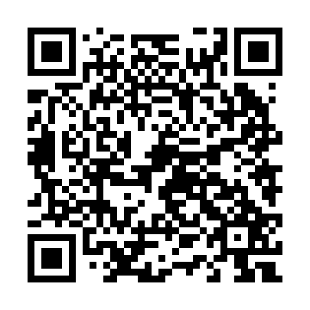 QR code for D1N 227