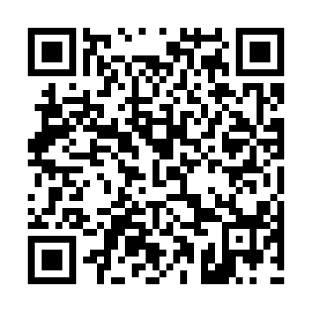 QR code for D1N 318