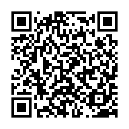 QR code for D1N 390