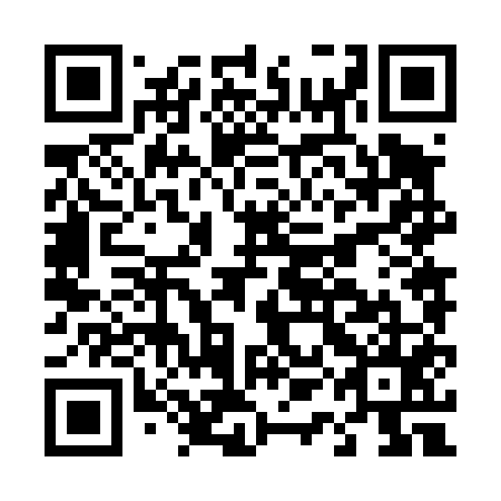 QR code for D1N 455