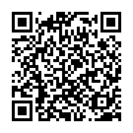 QR code for plate D1N 111