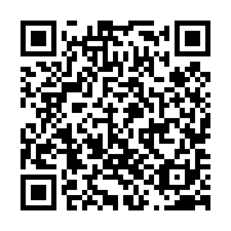 QR code for plate D1N 491