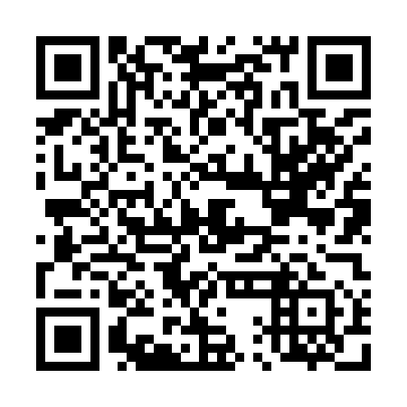 QR code for D1N951