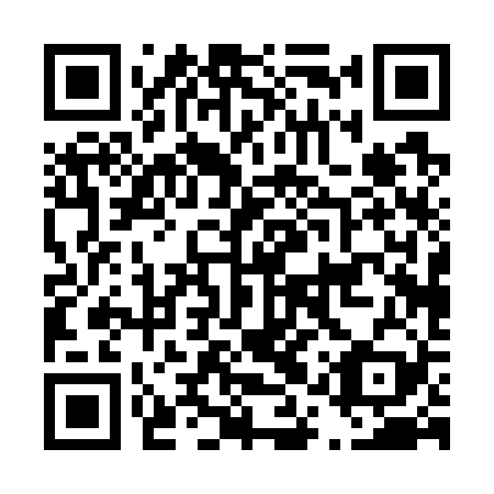 QR code for D1P 729