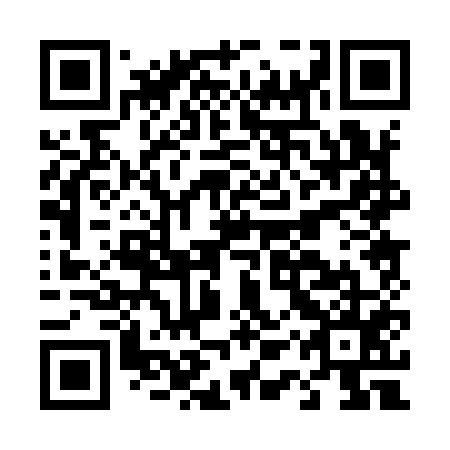 QR code for D1P 955