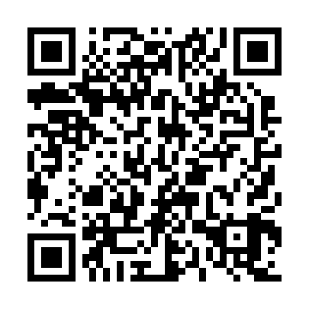 QR code for plate D1P 209