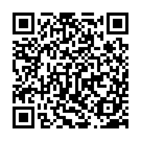QR code for D1Q 341