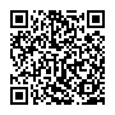 QR code for D1Q 520