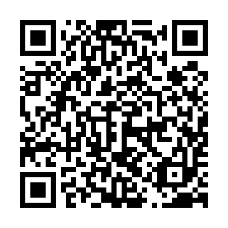 QR code for D1Q 593