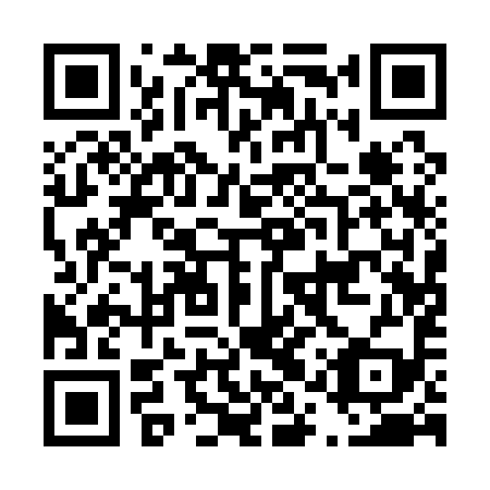 QR code for plate D1Q 199