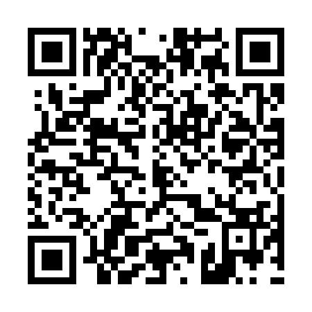 QR code for D1Q333