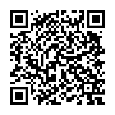 QR code for D1Q463