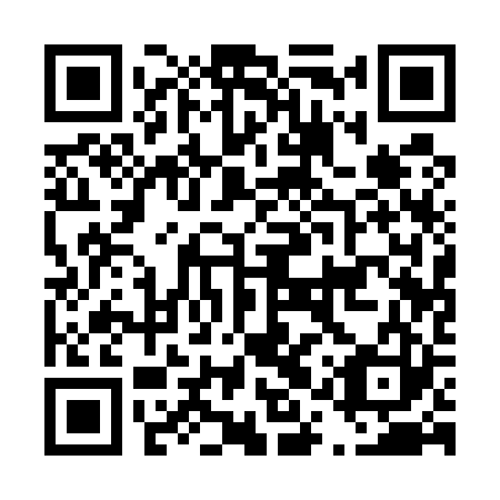 QR code for D1Q523