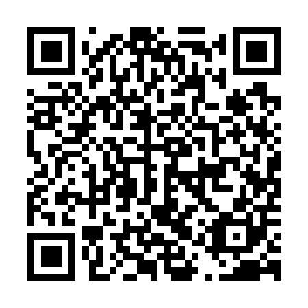 QR code for plate D1Q 700