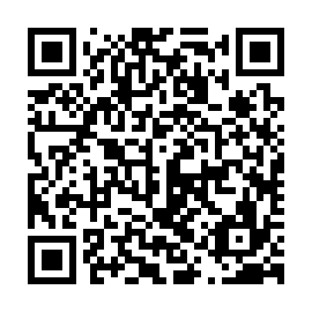 QR code for D1R 336