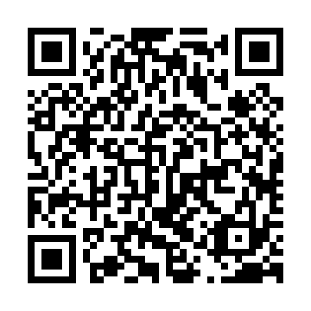 QR code for plate D1R 033