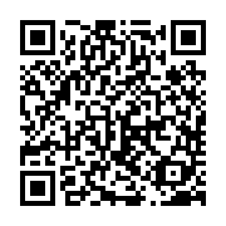QR code for D1R249