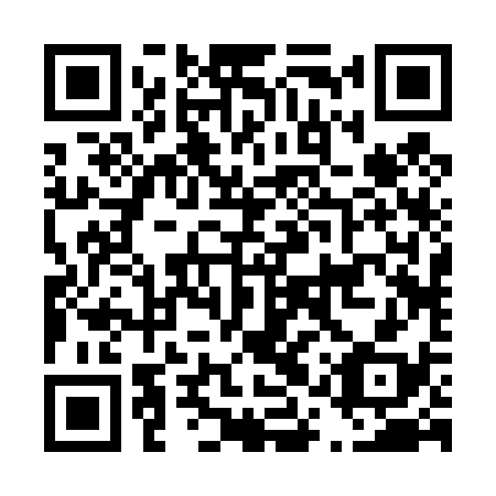QR code for D1R438