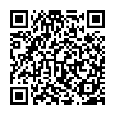 QR code for plate D1R 851