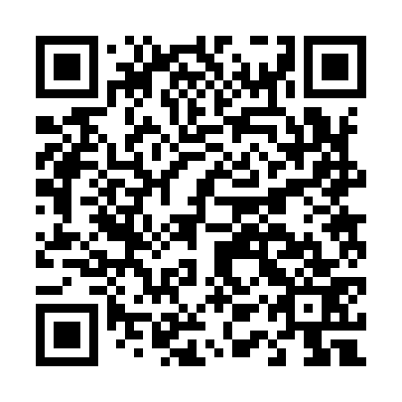 QR code for plate D1R 973