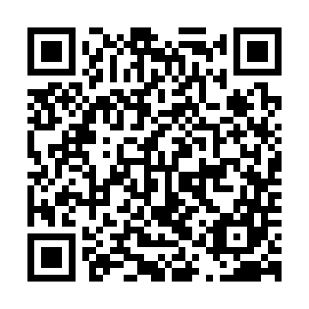 QR code for D1S 347