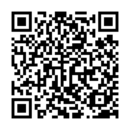 QR code for D1S601