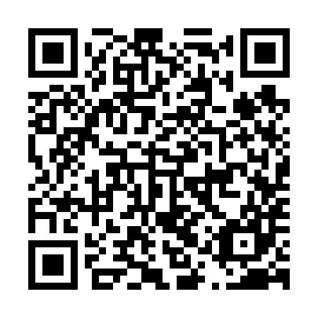 QR code for D1S687