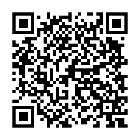 QR code for plate D1T 461