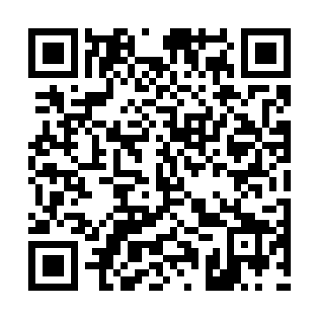 QR code for plate D1T 729