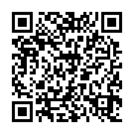 QR code for D1V333
