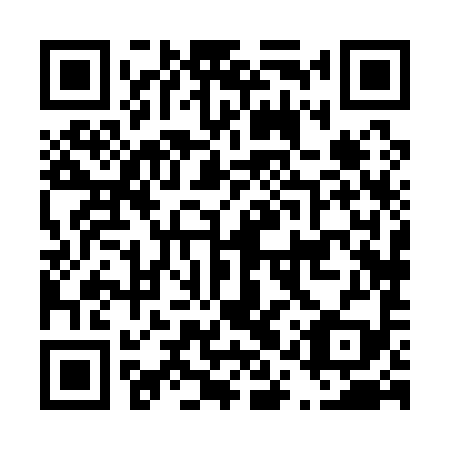 QR code for D1X 199