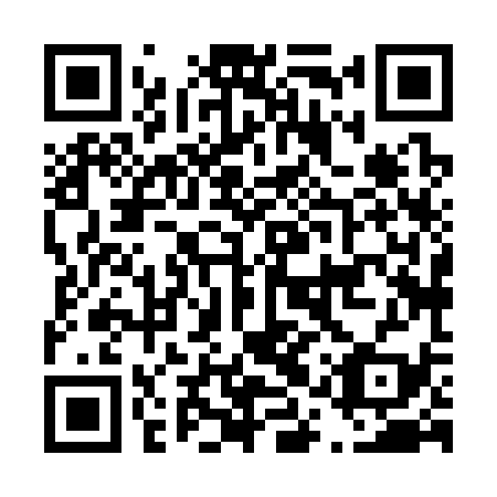 QR code for D1X 339
