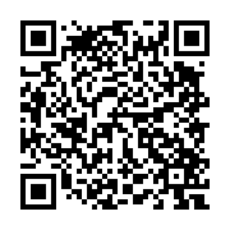 QR code for plate D1X 447