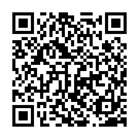 QR code for plate D1Y 133