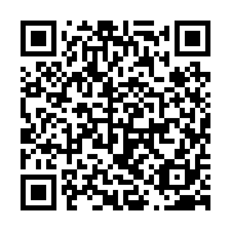 QR code for plate D1Y 210