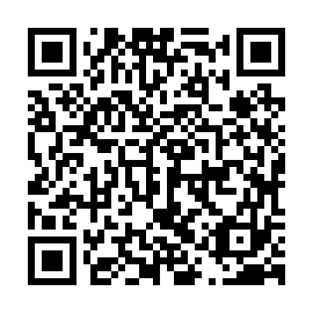 QR code for plate D1Z 273