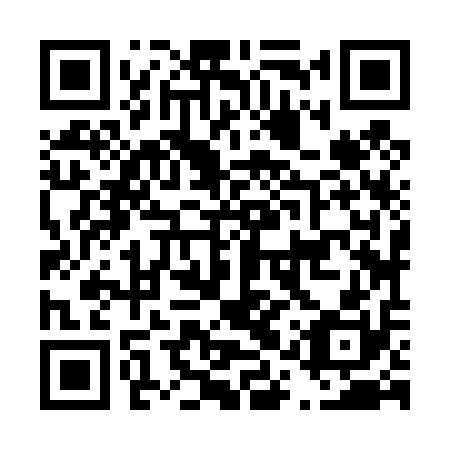 QR code for D1Z410