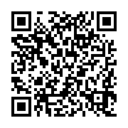 QR code for D1Z593