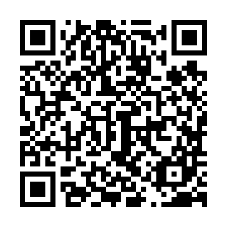 QR code for plate D1Z 687