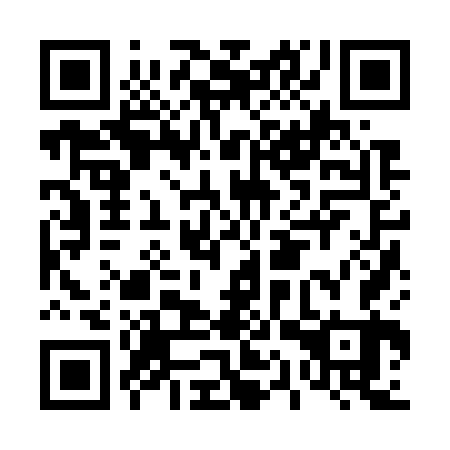 QR code for plate D1Z 763