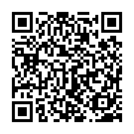 QR code for plate D1Z 770