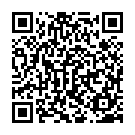 QR code for plate D1Z 874
