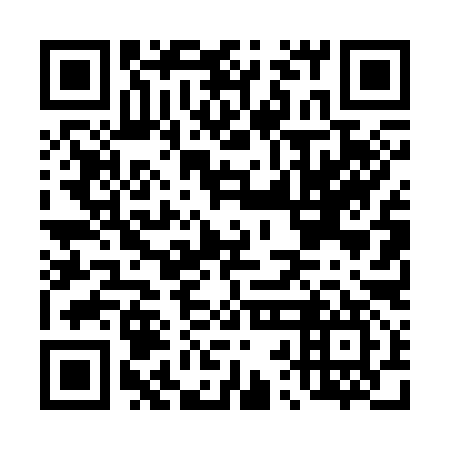 QR code for D2D 397
