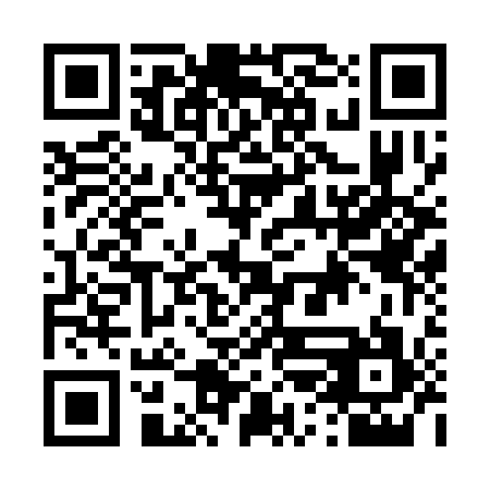 QR code for D2G 317
