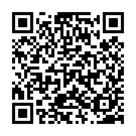 QR code for plate D2G 480